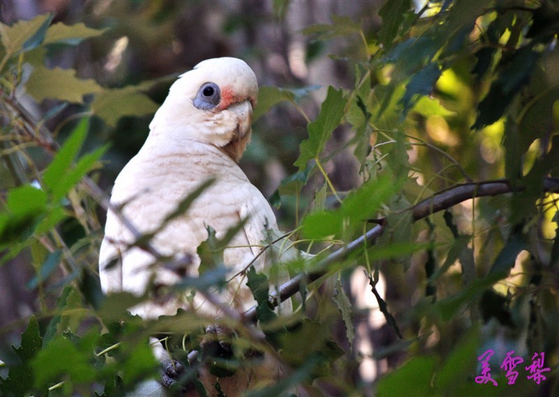 DSC_0334.jpg
