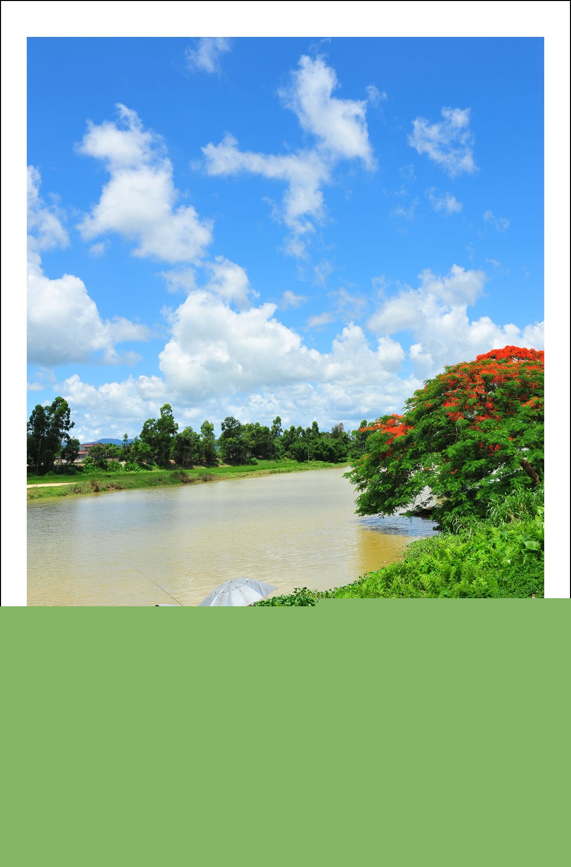 DSC_1437_conew1.jpg