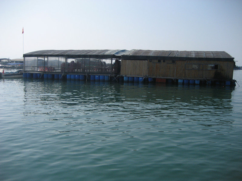 2014 007_.jpg