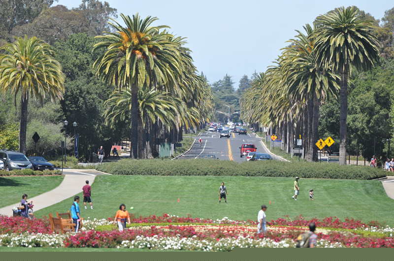 stanford trip 130_.jpg