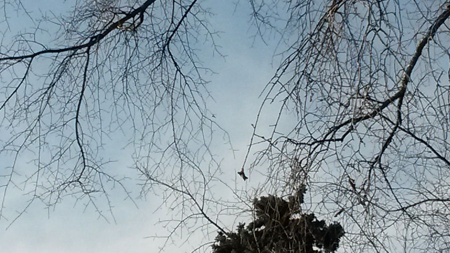 20140408_164841.jpg