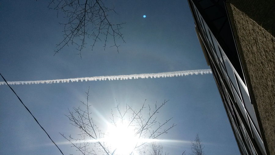 20140407_121733.jpg