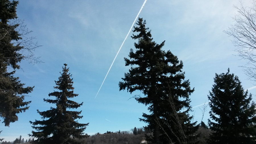 20140407_122423.jpg