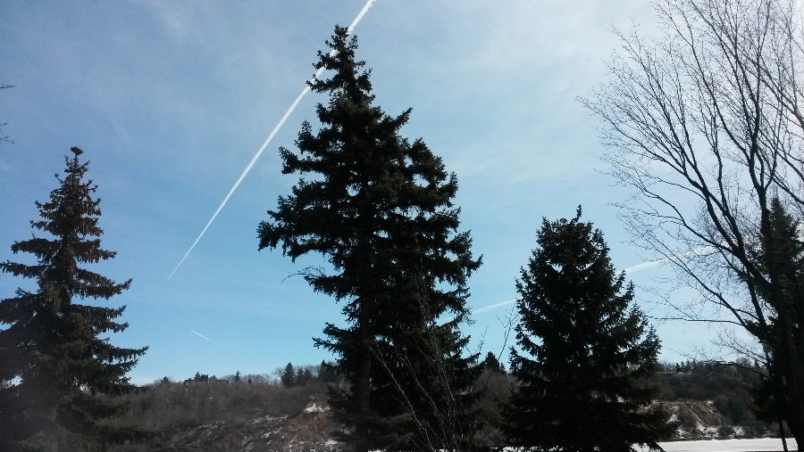 20140407_122435.jpg