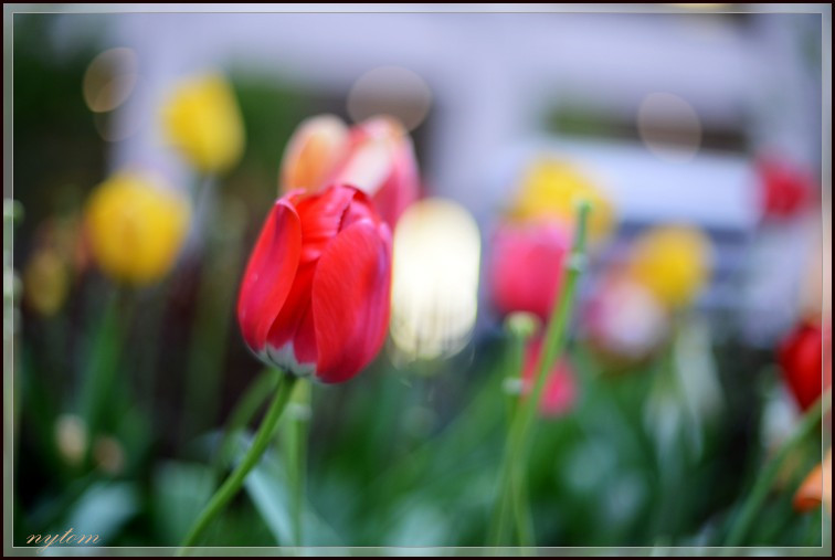 DSC_3844a.jpg