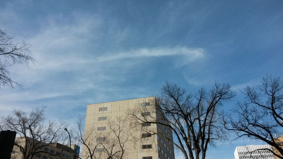 20140408_165242.jpg