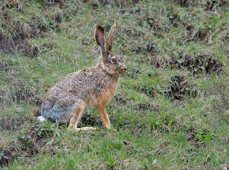 _DSC5205-.jpg