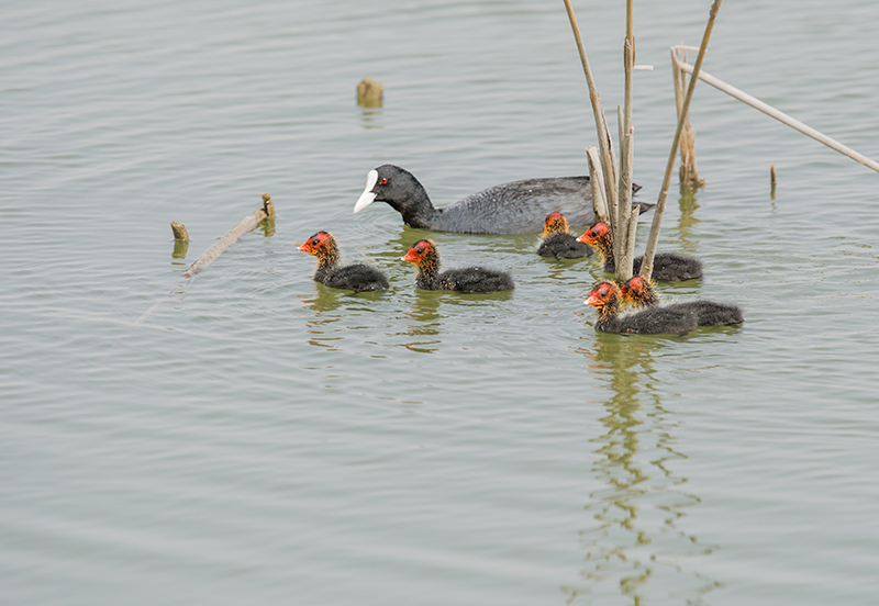 _DSC3043-.jpg