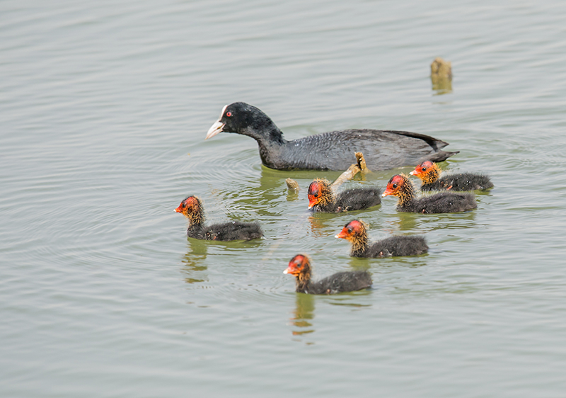 _DSC3049-.jpg