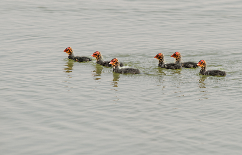 _DSC2983-.jpg