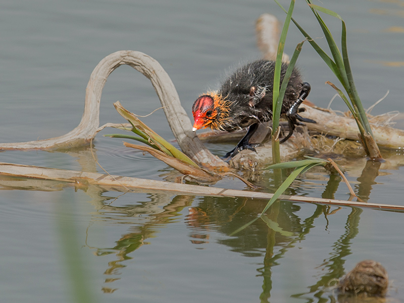 _DSC3086-.jpg
