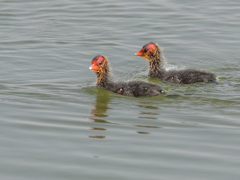 _DSC3025-.jpg