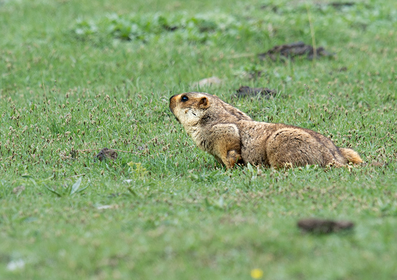 _DSC5546-.jpg