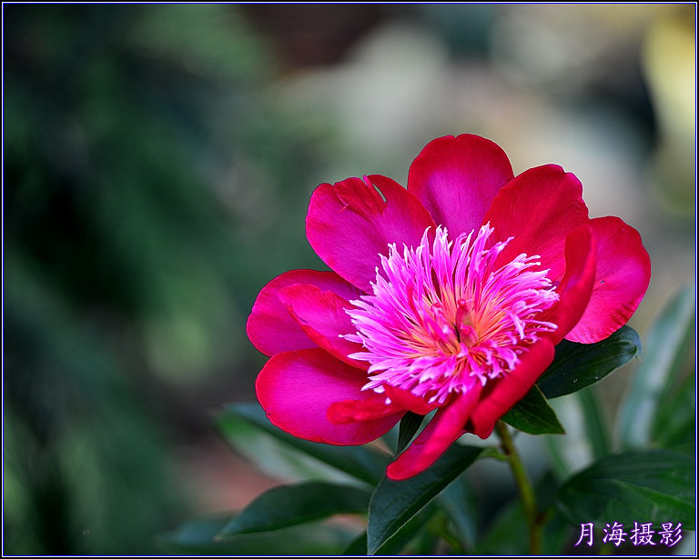 DSC_5890_.jpg