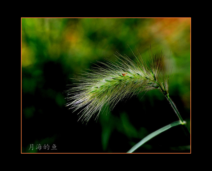 DSC_5705_.jpg