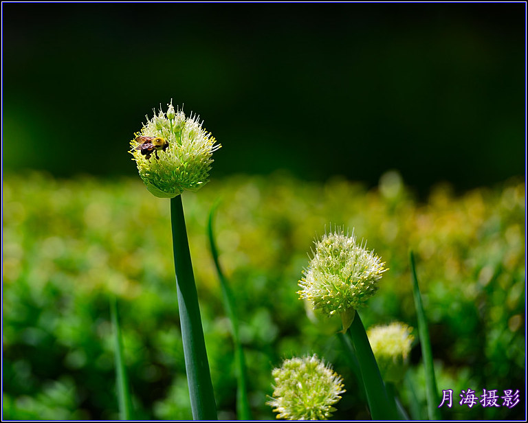 DSC_5885_.jpg