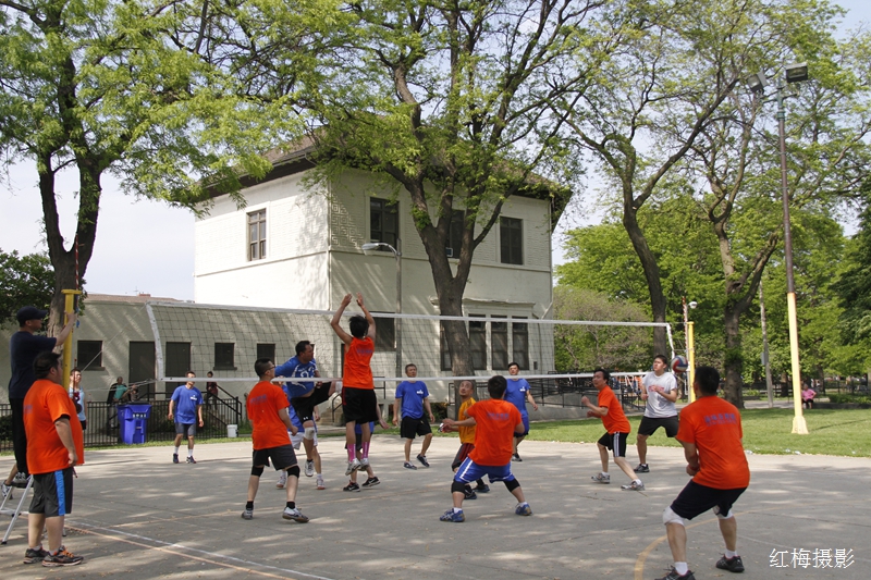 _MG_0501.JPG
