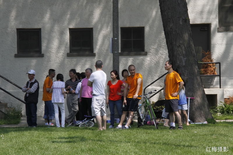 _MG_0297.JPG