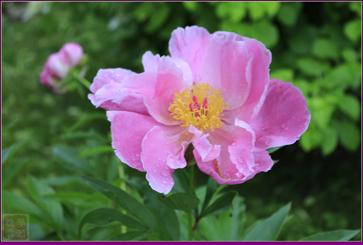2014063 051_.jpg