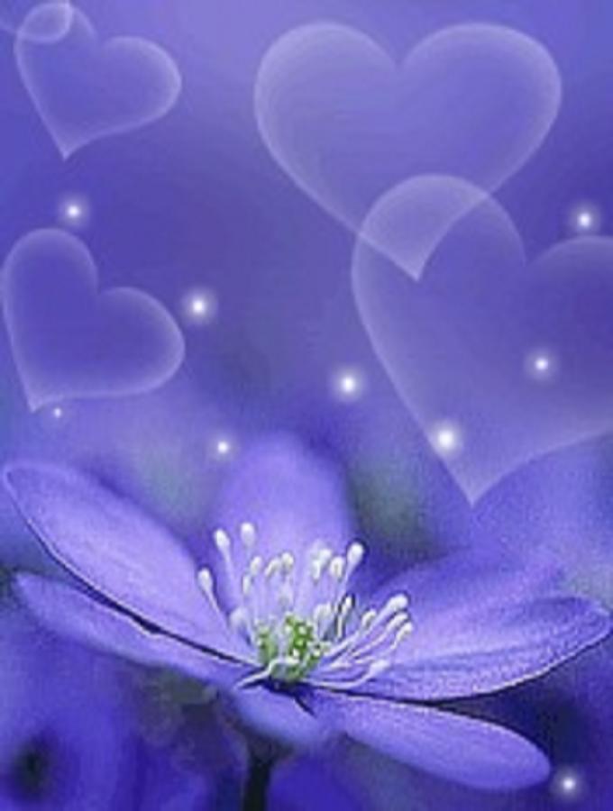 bfddfed8gw1efpw1grh7gj204w064wej.jpg