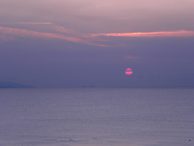 DSCN2161.jpg