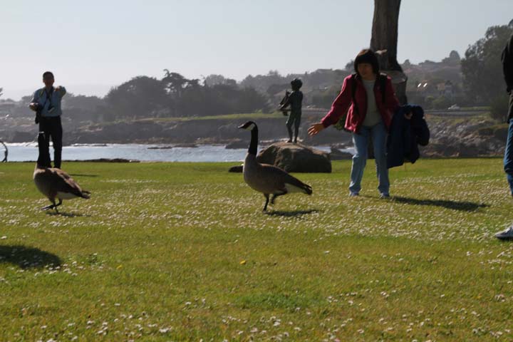 IMG_3794.jpg