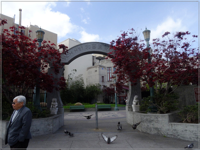 DSC04694_conew1_.jpg