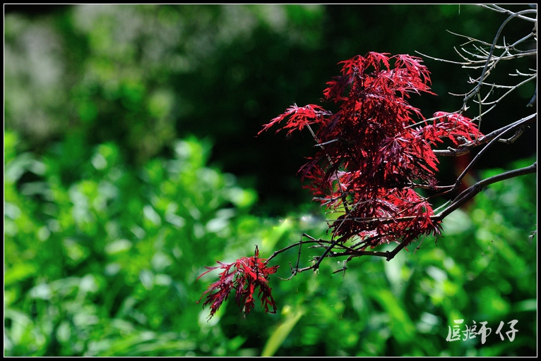 DSC_8435.jpg
