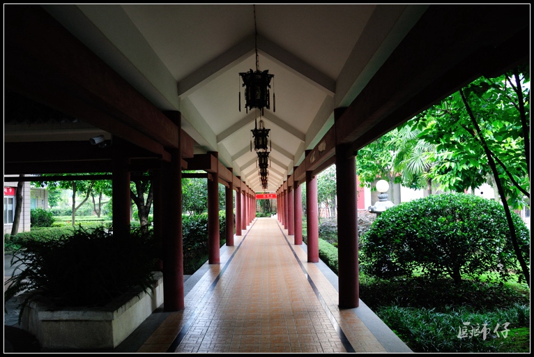 DSC_2051.jpg