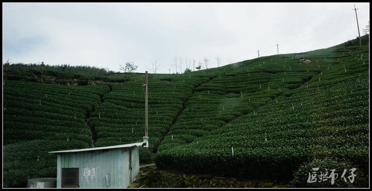 DSC_0204.jpg