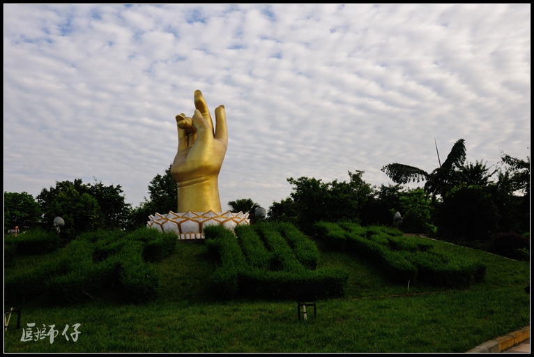 DSC_2322.jpg