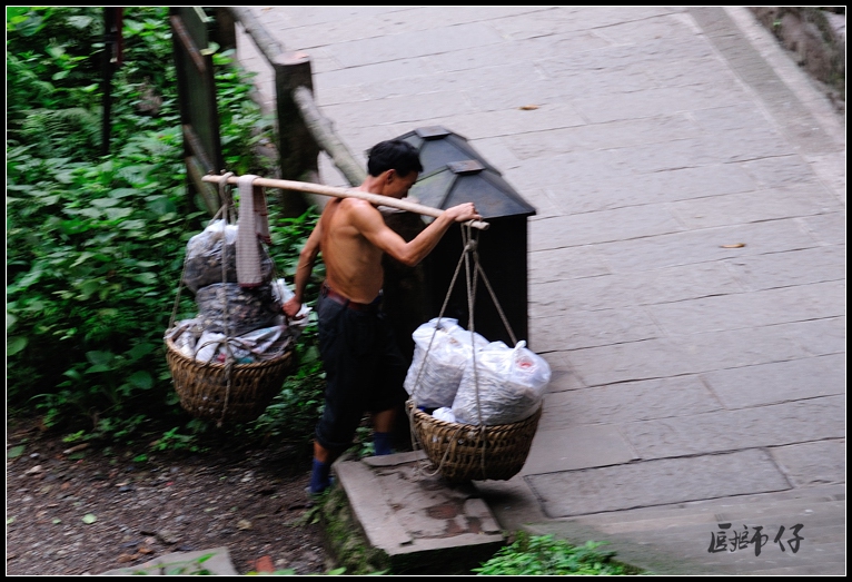 DSC_2374.jpg