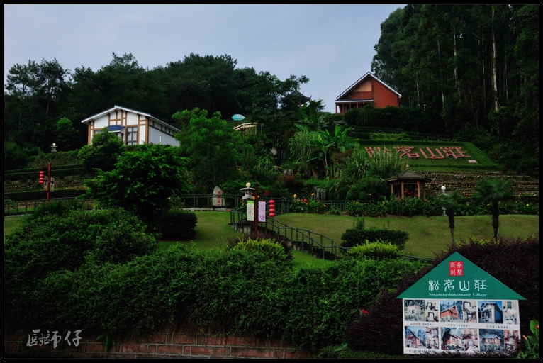 DSC_2046.jpg