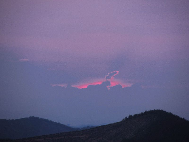 IMG_4491.JPG