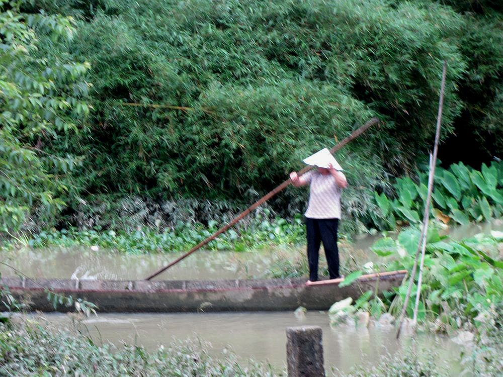 IMG_3241.jpg