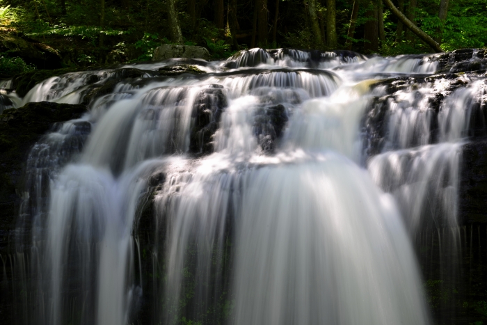 _DSC5051_01.JPG
