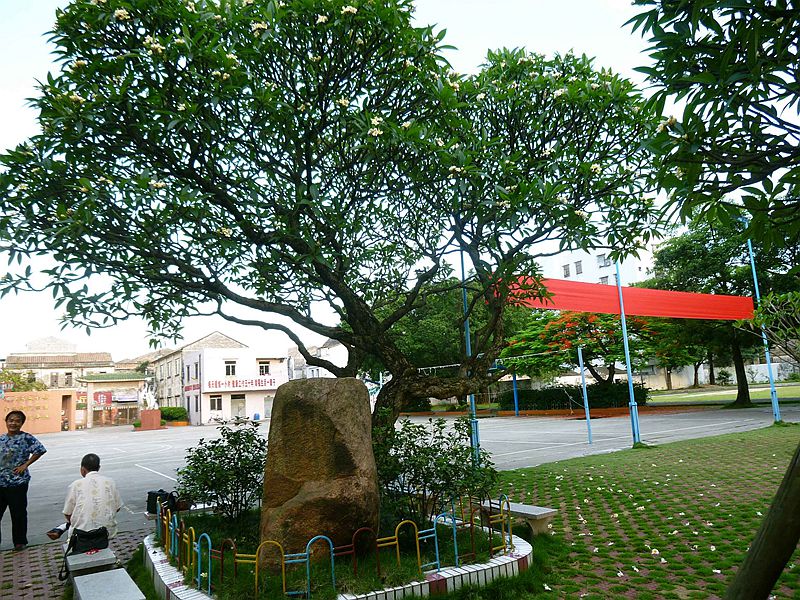 77.jpg