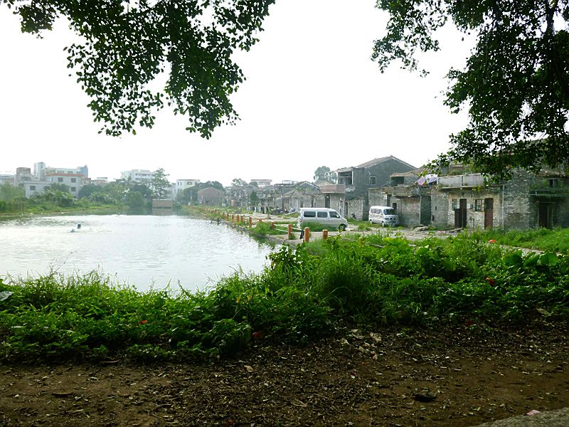 P1120010.jpg