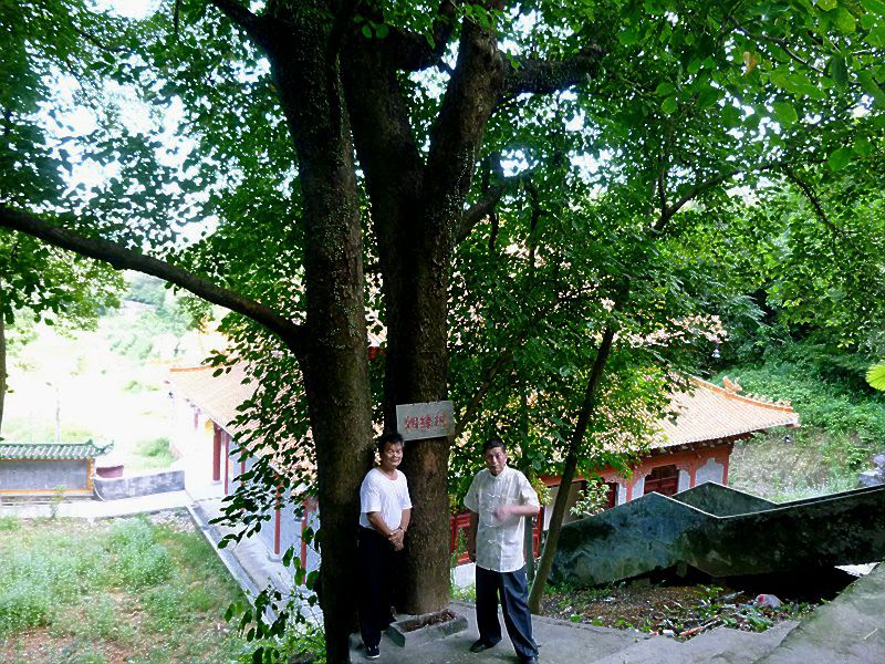 P1120520.JPG