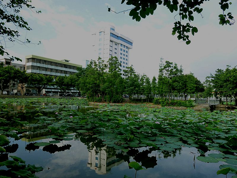 P1130159.JPG