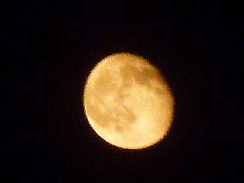 P1130016.jpg