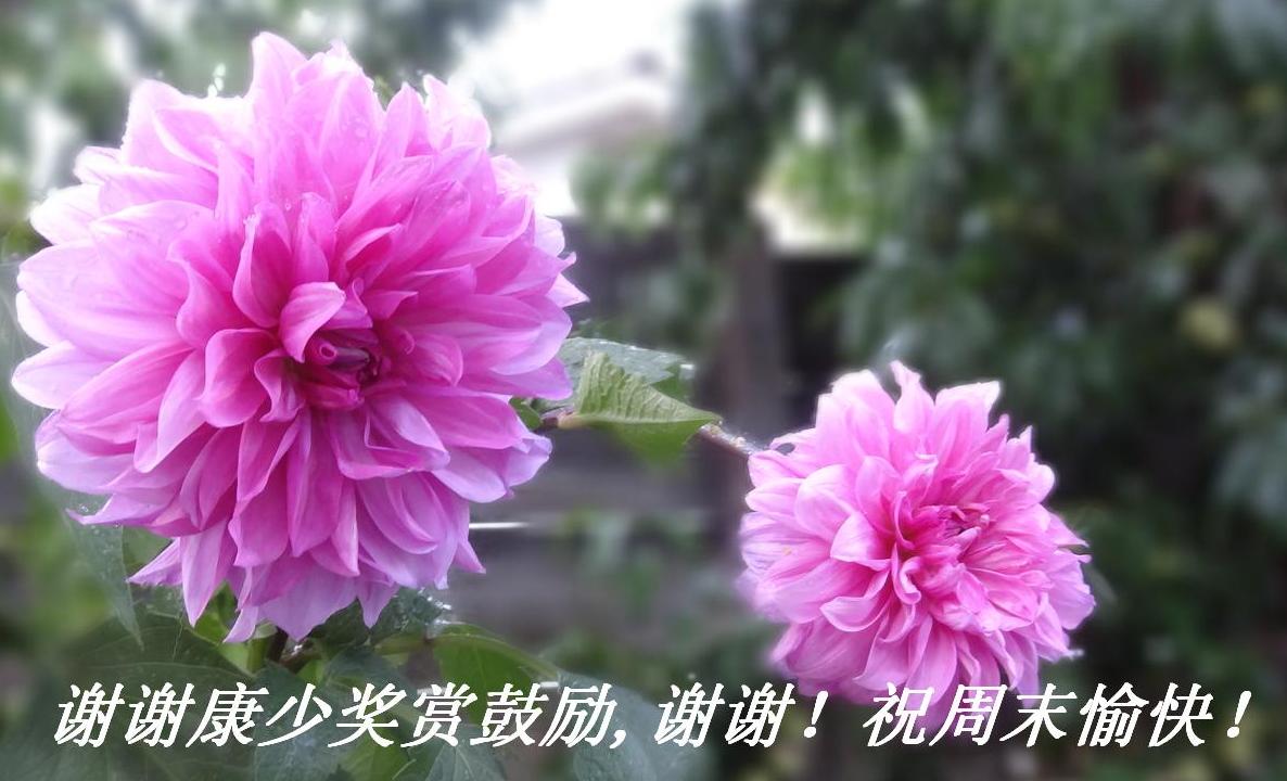 ллٽ͹ллףĩ죡.JPG