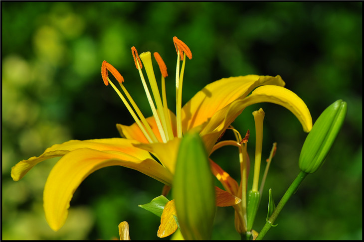 DSC_0950.jpg