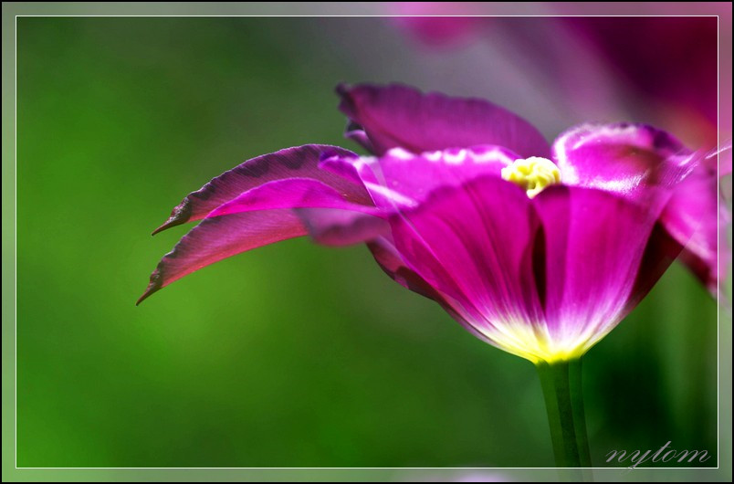 DSC_2945_a.jpg