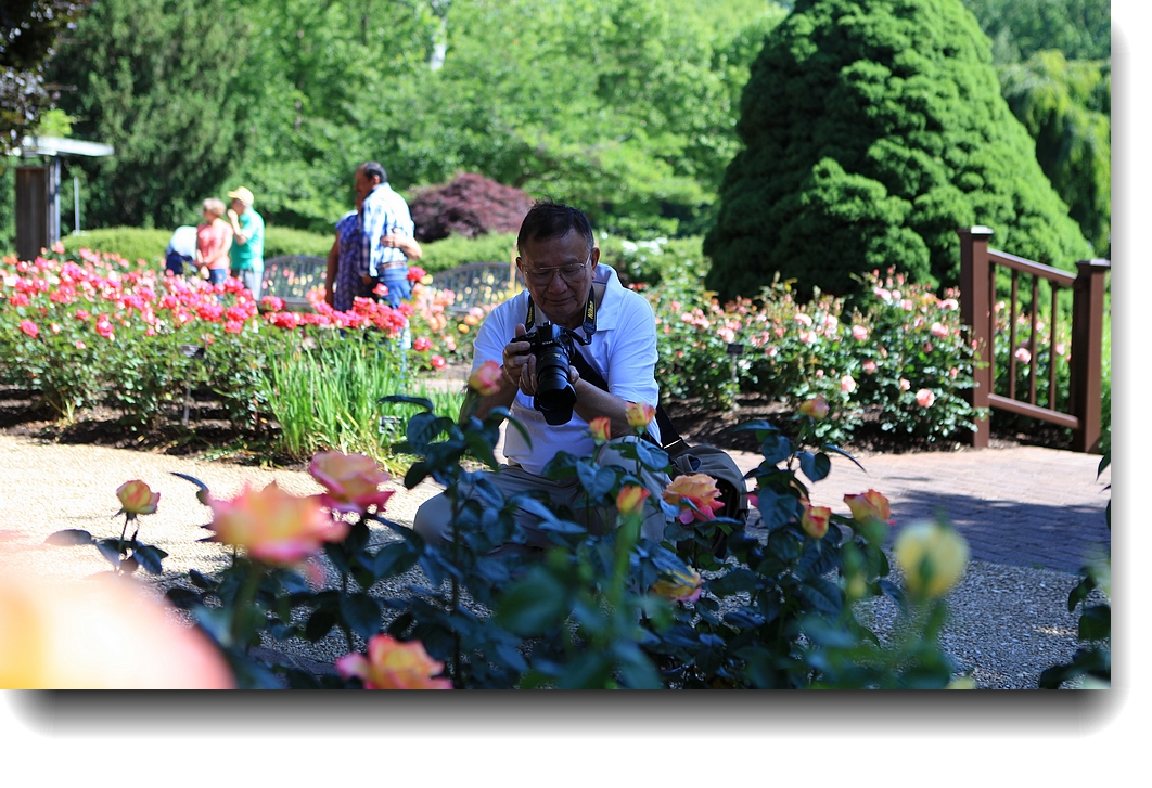 IMG_3453a.jpg