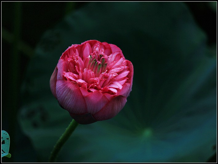 IMG_5025_副本.jpg