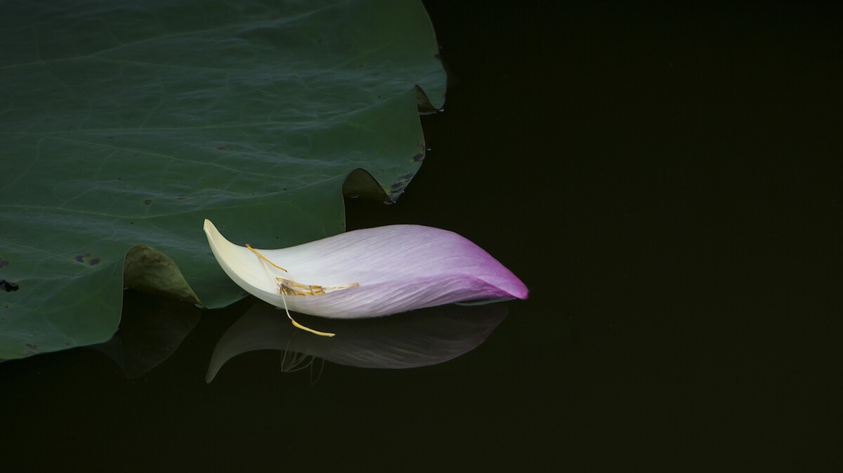 QQͼƬ20140616151211.jpg