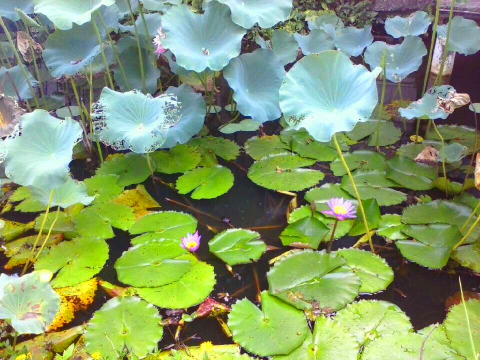 20140630233200.jpg