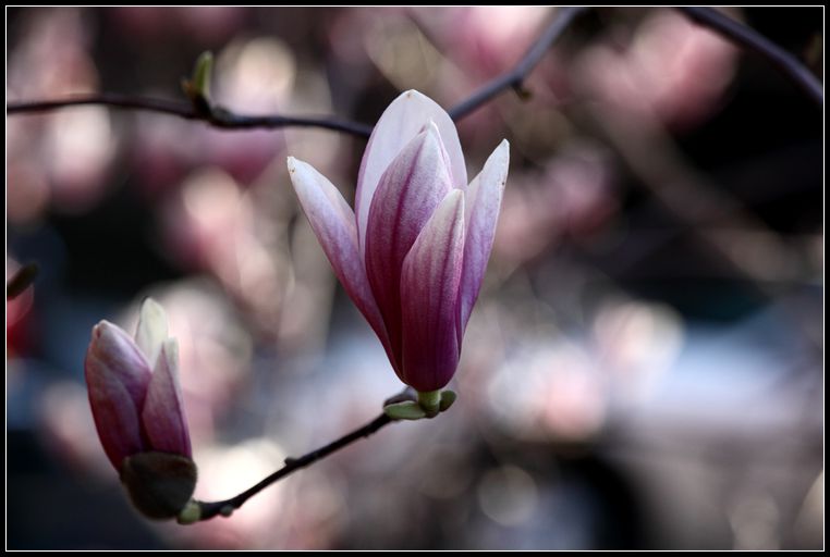 _MG_8163_����.jpg