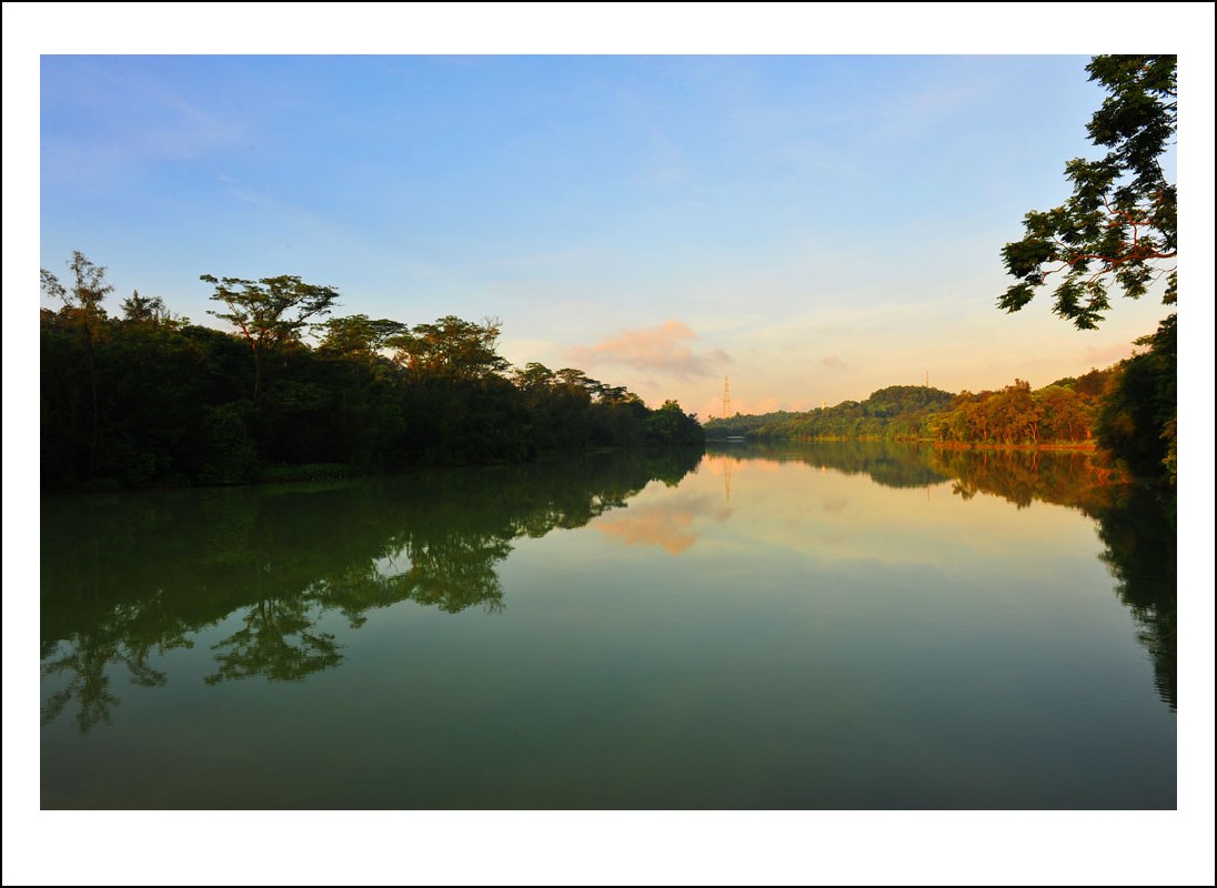 DSC_7208_conew1.jpg